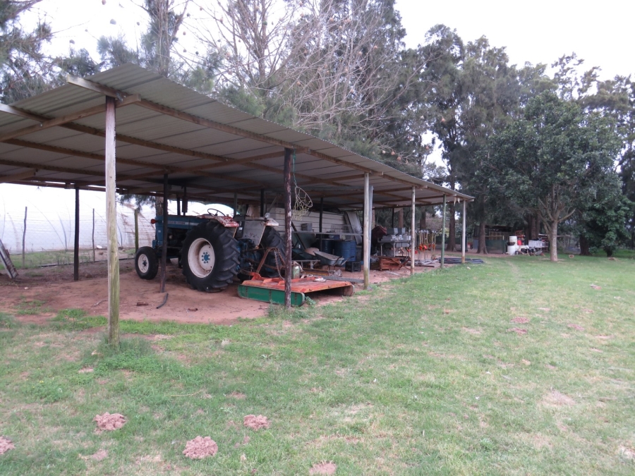 3 Bedroom Property for Sale in Bathurst Eastern Cape